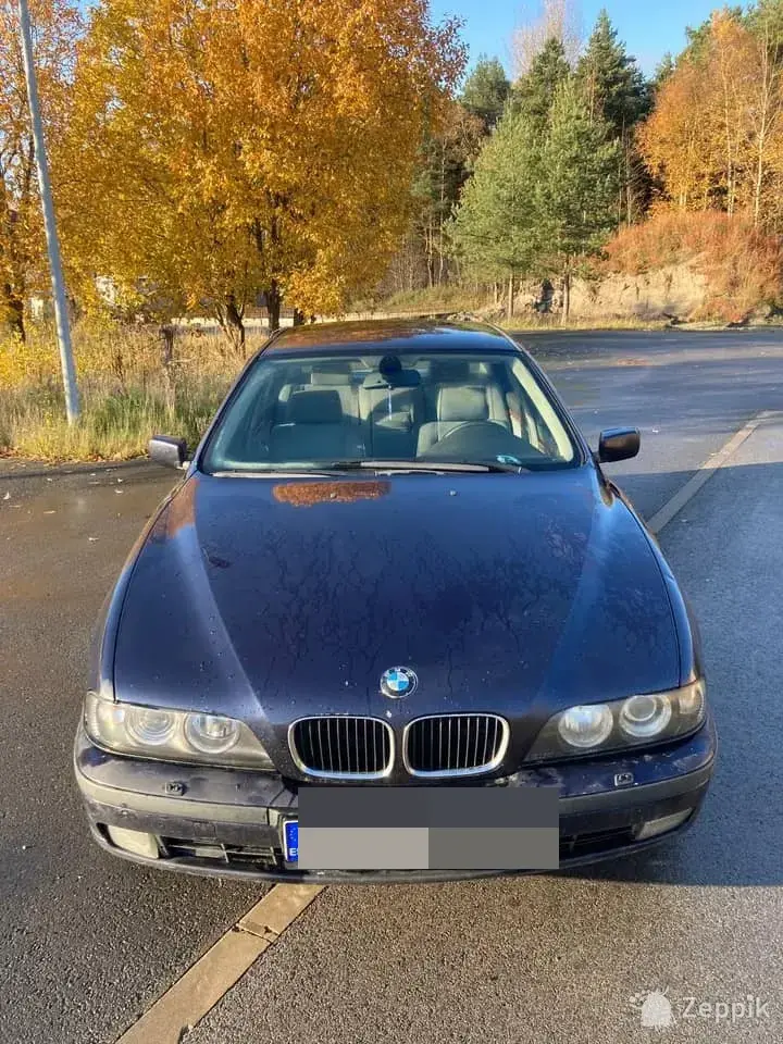 Bmw 530d manual