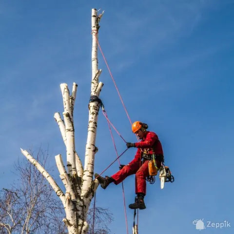 Ландшафтные работы любой сложности