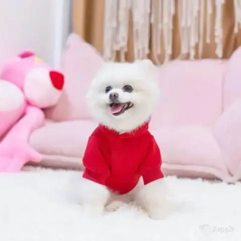 lot uus kooltail koerakapuuts punane m