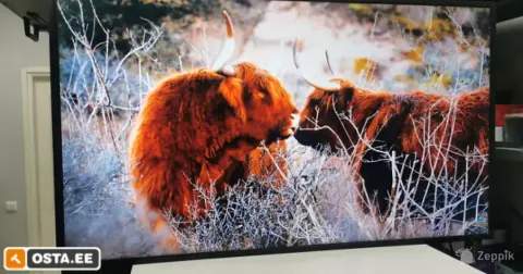 SAMSUNG QM43C 43" UHD professionaalne monitor / ekraan