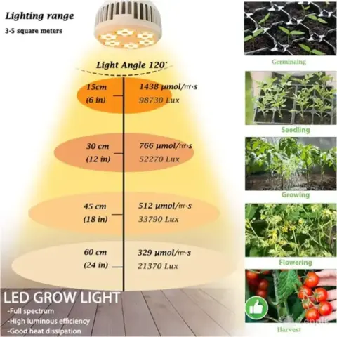 MILYN LED-taime lamp, 150 W, E27