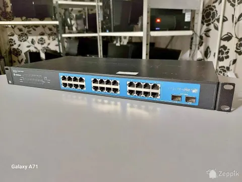 24 port Gigabit switch