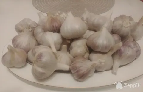 Чеснок свежий продукт