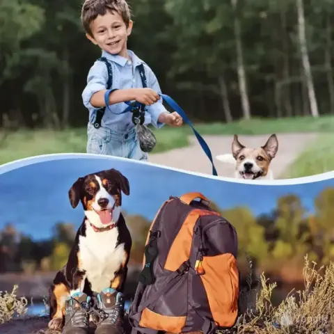 PuppyDoggy koerakakakottide hoidja (4 tk, must + roosa)