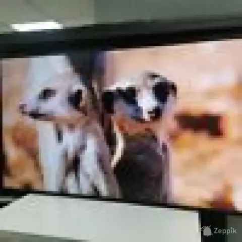 SAMSUNG QM43C 43" UHD professionaalne monitor / ekraan