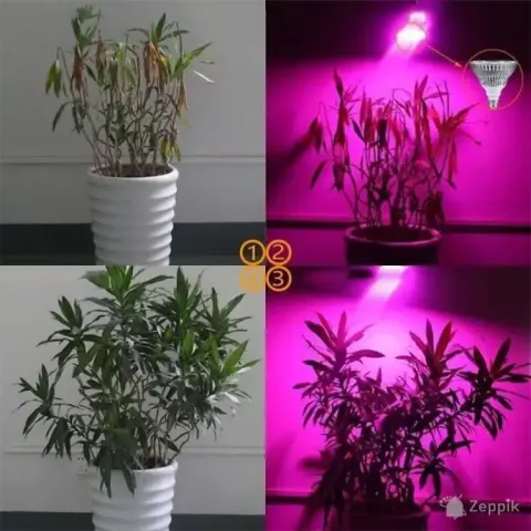 lot uus led taimelamp sansi e563 200 led 24w