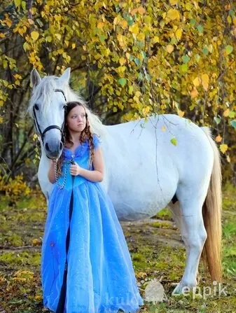 BIG PONY, БОЛЬШОЙ ПОНИ