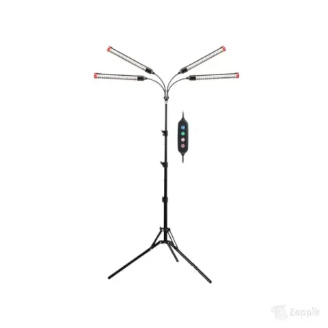 JINHONGTO ZH_GL_RH taimelamp 36 W