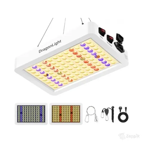 Binoster Veekindel külmakott, Star
