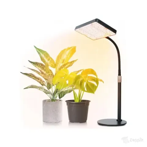 LED FRGROW B0CNT9RSHY taimelamp 25 W