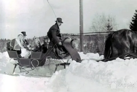 For sale original restauried german sledges with known history, Сани