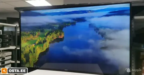 Philips BDL4830QL 48" monitor