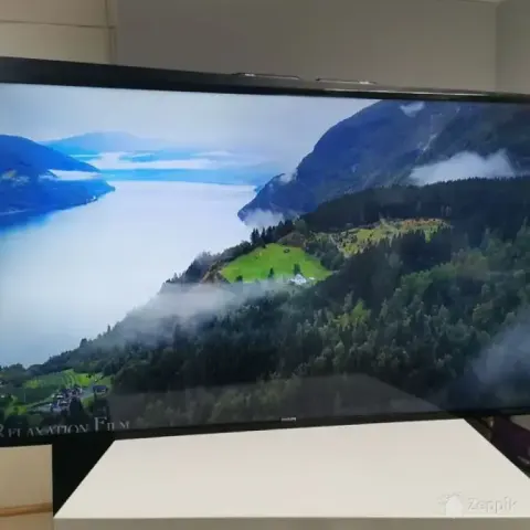 Philips BDL4830QL 48" monitor