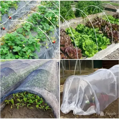 Polytunnel minikasvuhoone tunneli komplekt, 30 tk