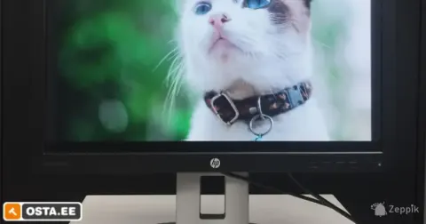 HP EliteDisplay E232 23" IPS LED Monitor