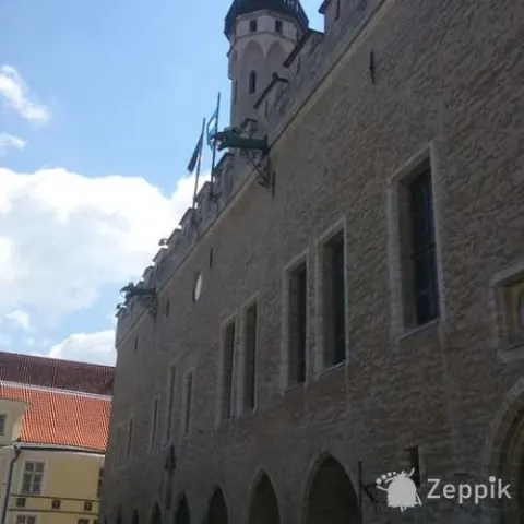 Услуги квалифицированного гида в Таллине