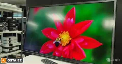 LG 32LW340C LED teler 32" HD testitud HDMI seinakinnitus