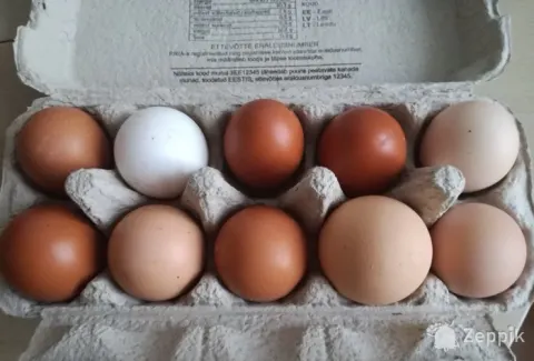Яйца от домашних курочек