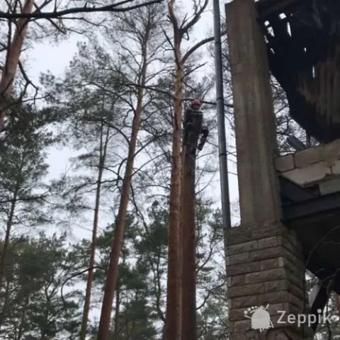 Спил и обрезка деревьев, puu loikamine