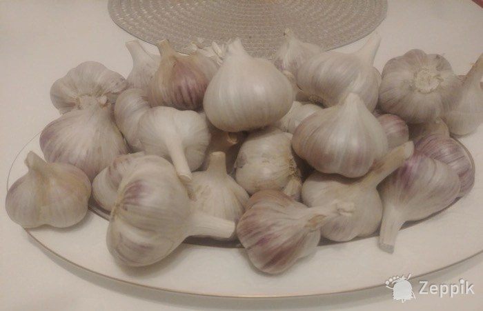 Чеснок свежий продукт