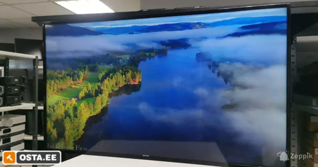 Philips BDL4830QL 48" monitor