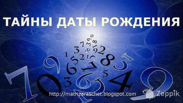 Нумеролог услуги
