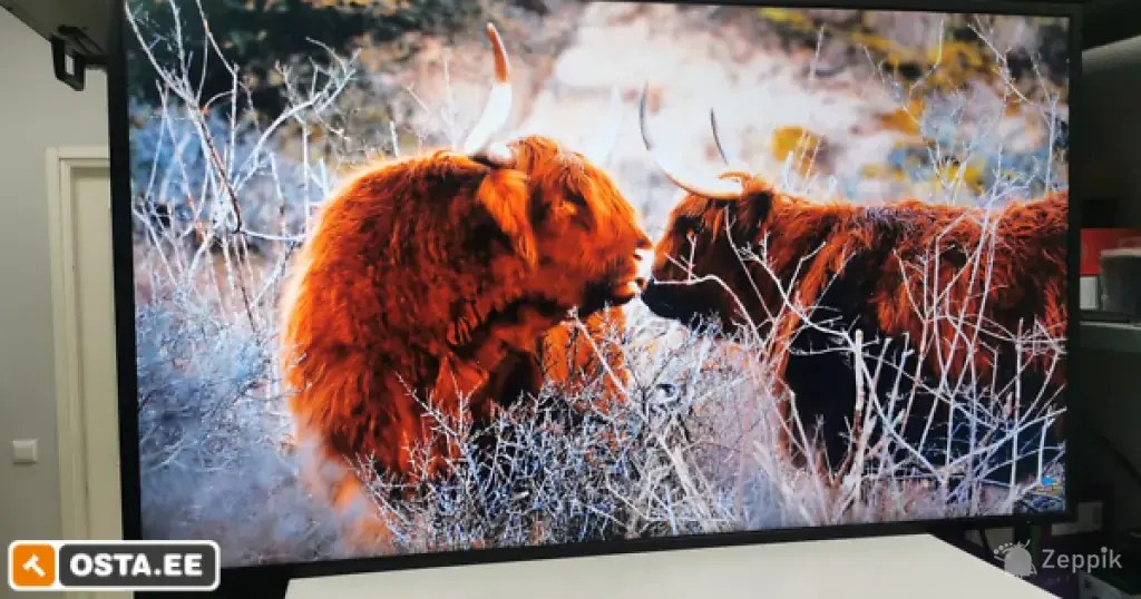 SAMSUNG QM43C 43" UHD professionaalne monitor / ekraan
